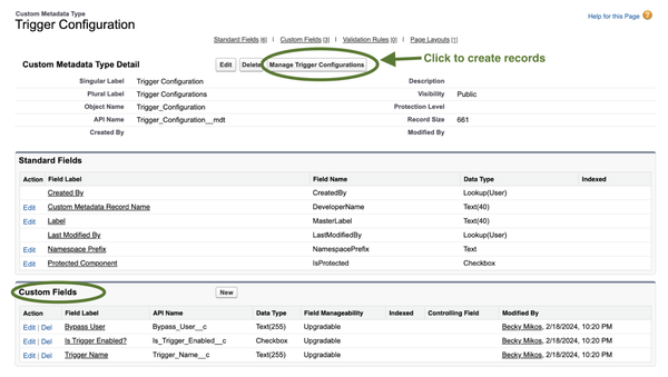 Screenshot showing the Custom Metadata Type detail and Trigger Configuration page in an unspecified software interface, featuring tabs for Standard Fields, Custom Fields, Validation Rules, and Page Layouts, with options to edit and manage trigger configurations.